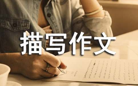 大学生前锋的职业发展规划_2